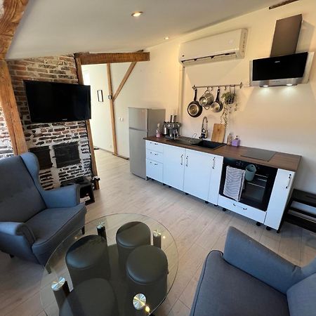 Bellevue Appartement Sous Les Toits Hypercentre Climatise Dole Exterior photo